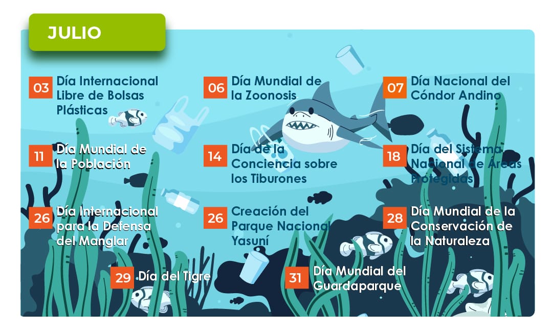 Calendario ambiental de Ecuador y del mundo con las fechas más importantes de 2024