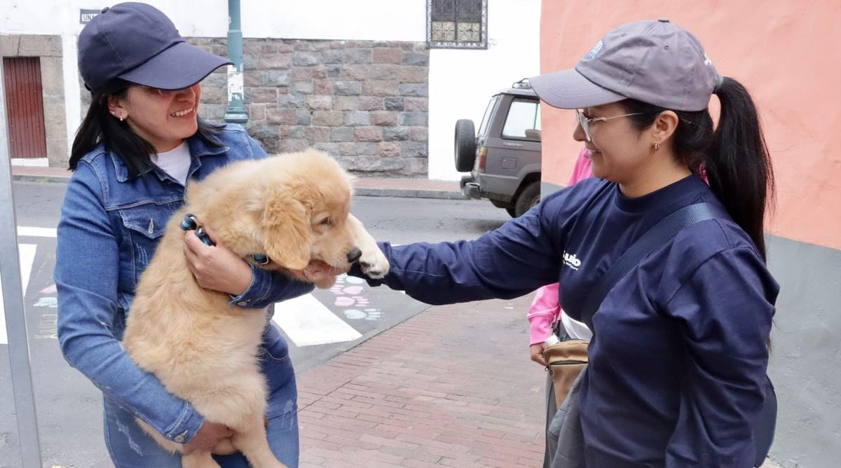 Animales sueltos, el problema ambiental más grave en barrios