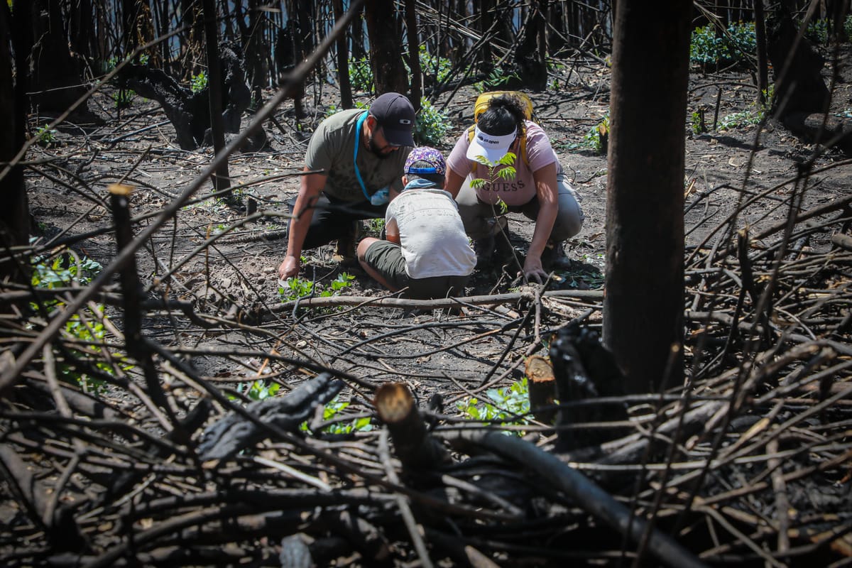 Ecuador, del récord en incendios forestales a las lluvias extremas