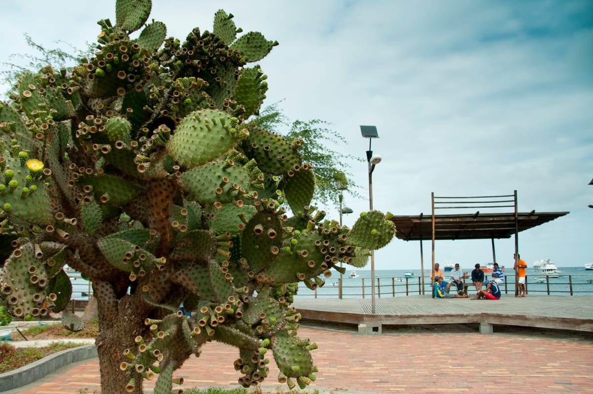Galápagos y la violencia de género: cifras que preocupan