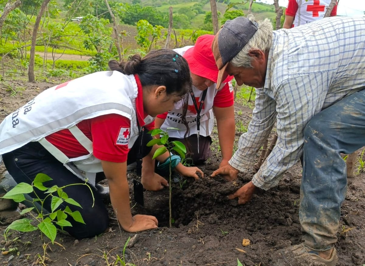 El cambio climático reconfigura la planificación de la Cruz Roja Ecuatoriana
