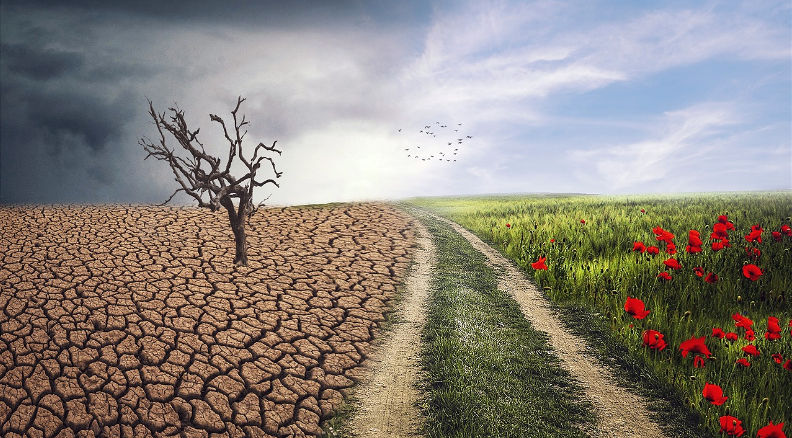 Limitaciones para acciones contra cambio climático en Ecuador