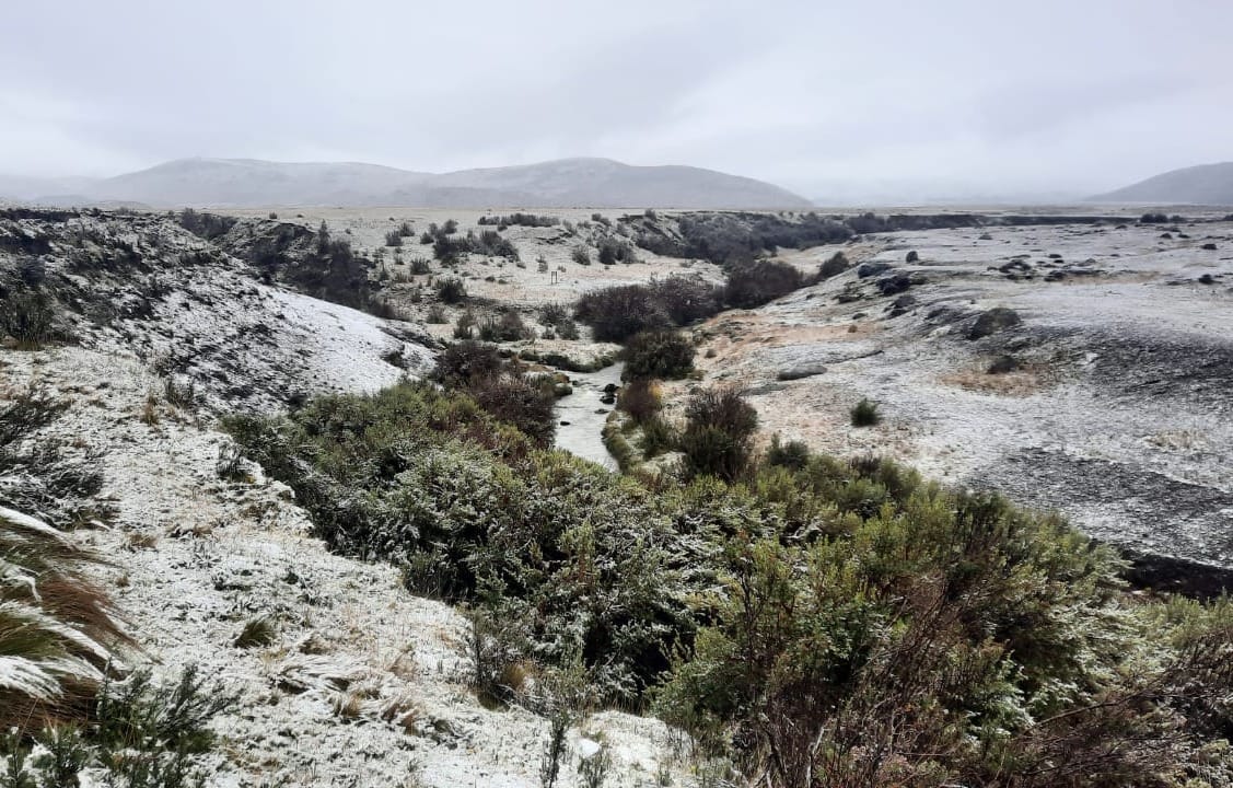 Heladas mantienen en riesgo a los ecosistemas agrícolas de la Sierra