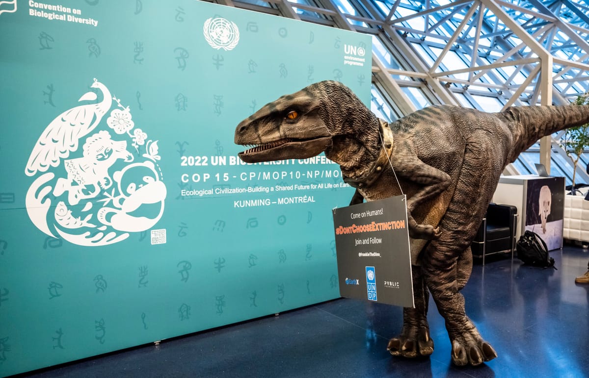 El financiamiento es un tema clave para la segunda semana de la COP15