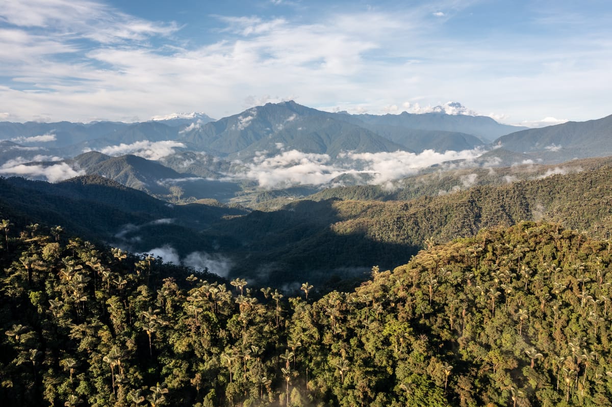 Llanganates-Sangay, declarado el segundo corredor de conectividad de protección ambiental