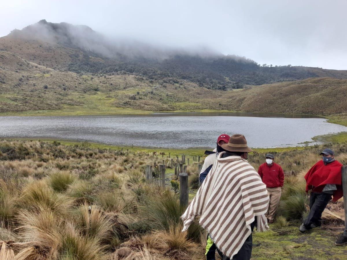 Las comunidades protegen los humedales andinos 
