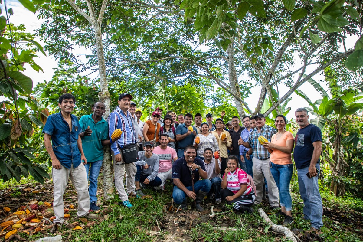 El proyecto Cacao BioAndino impulsa una producción sostenible y orgánica en Ecuador