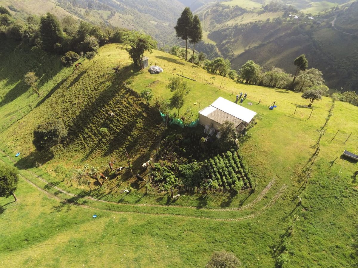 Quito ha perdido el equivalente a 35 mil estadios de cobertura vegetal