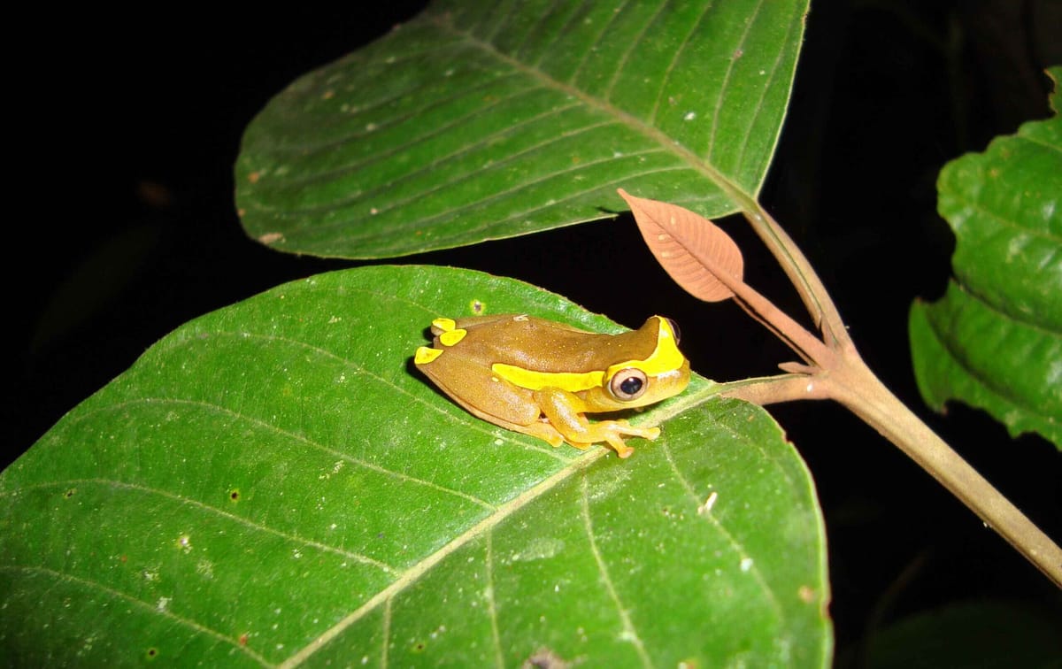 Un mes dedicado al reconocimiento de la biodiversidad ecuatoriana