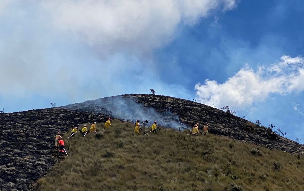 Los incendios forestales amenazan al páramo; guardaparques y bomberos están en alerta