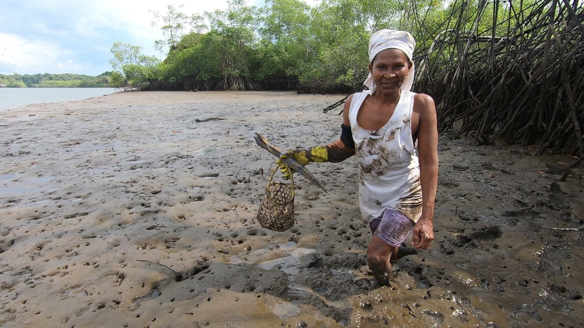 La lucha de la mujer por la defensa del manglar, en una película documental