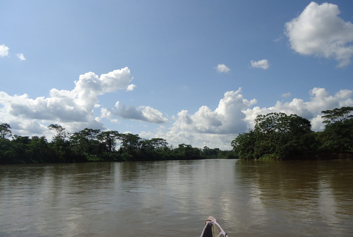 La Cumbre Amazónica plantea nuevos desafíos para el desarrollo sostenible de la región