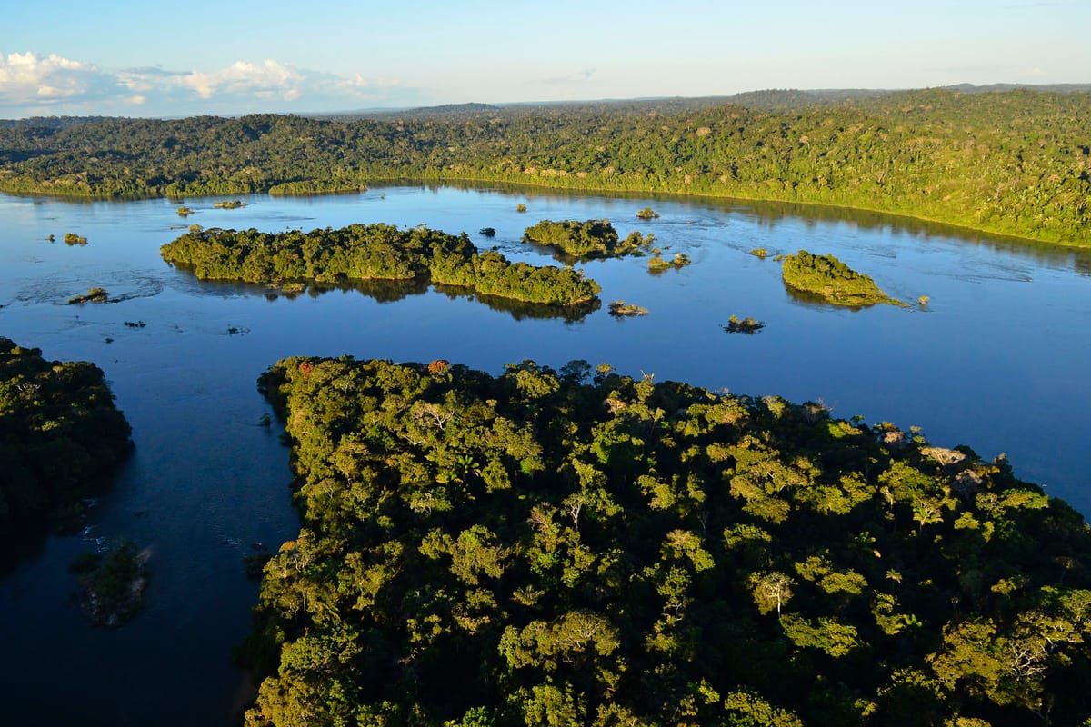 La Amazonía es necesaria para detener el aumento de temperatura