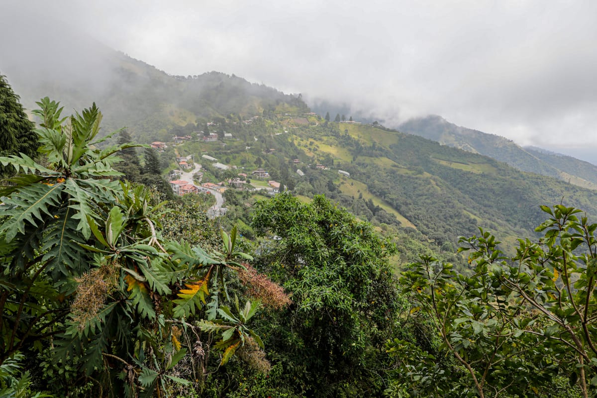 El cantón Quito definirá el futuro de las actividades mineras en el Chocó Andino