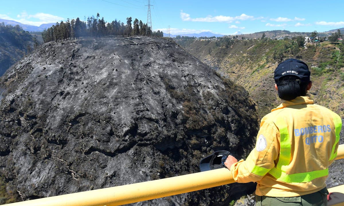 Incendios forestales en el país provocan daños en 12.223 hectáreas