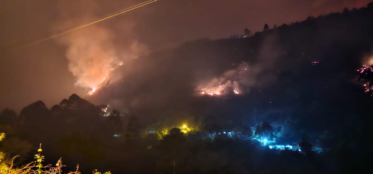 Incendios forestales en Loja dejan 1.000 hectáreas de bosques afectadas y un fallecido