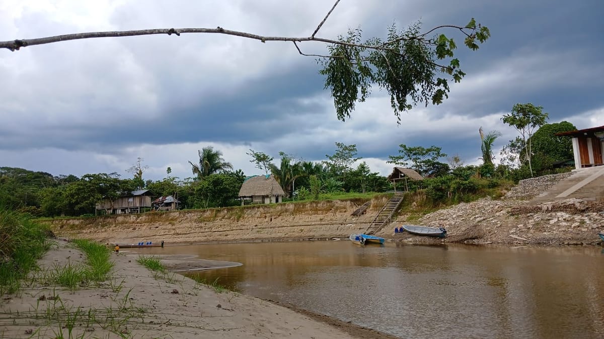 Sequías y temperaturas récord: la huella del calentamiento global en la Amazonía ecuatoriana