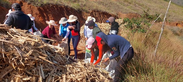 Las provincias que hacen más conservación ambiental