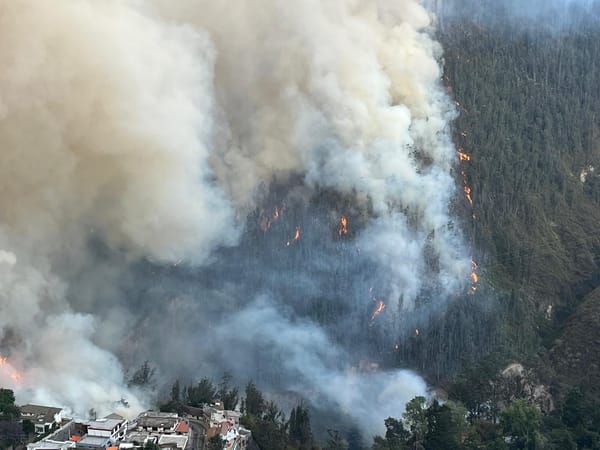 Quito: incendios provocados ponen al límite la sostenibilidad