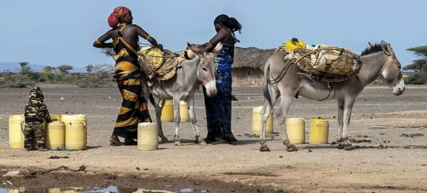 COP29: mujeres del África subsahariana dedican millones de horas al día a buscar agua