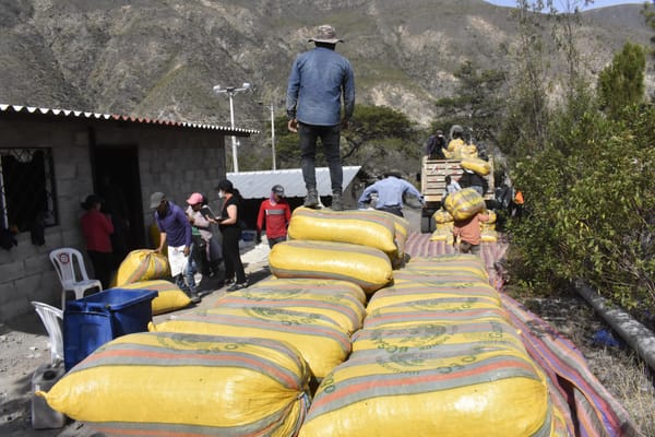 317 familias exportan guarango y protegen el bosque seco andino