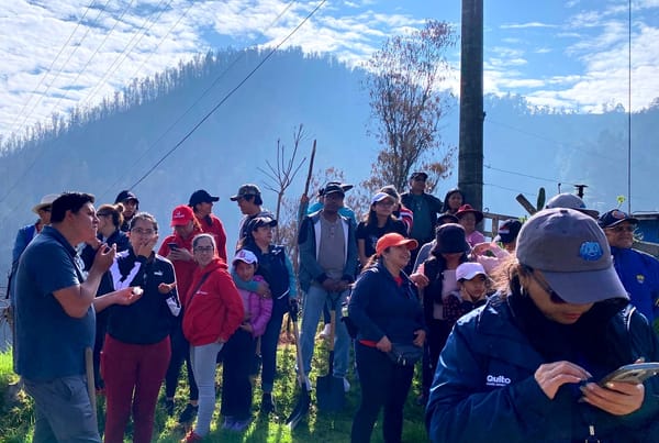 Cientos de personas se unen a la reforestación en Quito