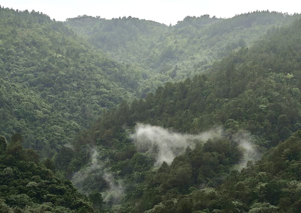 Territorios indígenas, pilares para conservar el carbono en la Amazonía