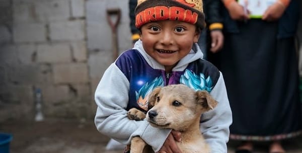 Eliminación de IVA a comida para mascotas tiene poco impacto