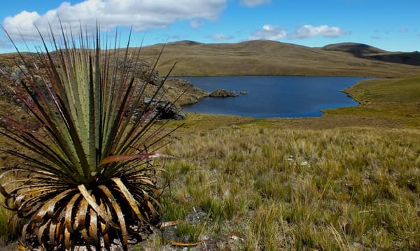 Loma Larga pierde su licencia ambiental tras resolución gubernamental