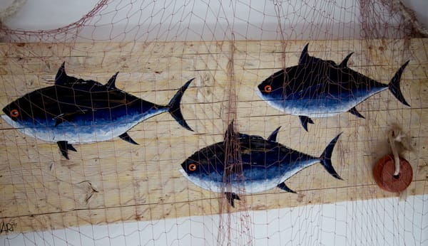 La pesca sostenible rebasa el límite biológico y se rezaga en beneficios