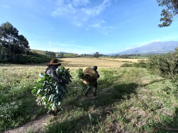 Transparencia climática: Ecuador bajo revisión de la ONU