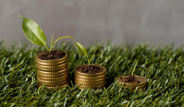 'Los mercados pueden generar cambios sociales y ambientales'