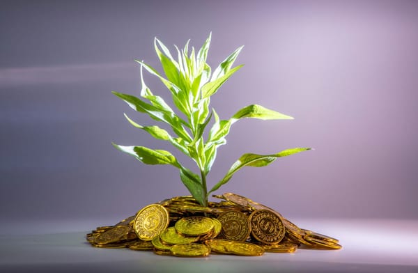 Taxonomía verde en Ecuador: qué es y cuándo se implementará