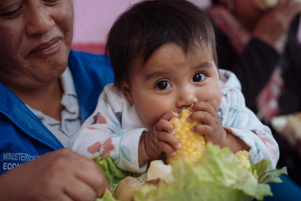 La desnutrición crónica infantil es reversible únicamente hasta los 2 años de edad
