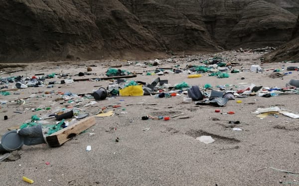 Jornada de limpieza de playas en Ecuador