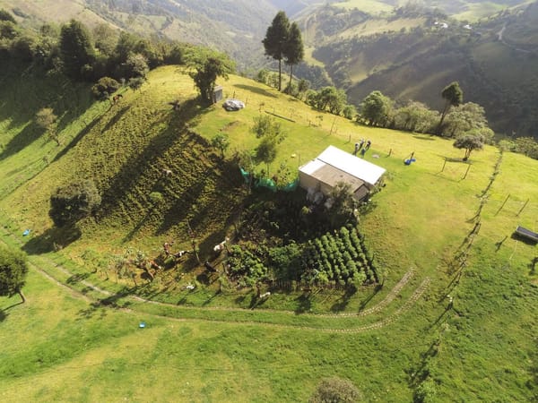 Pérdida de cobertura vegetal en Quito