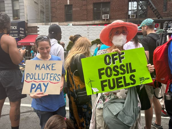 Esta marcha fue organizada por grupos climáticos de EEUU
