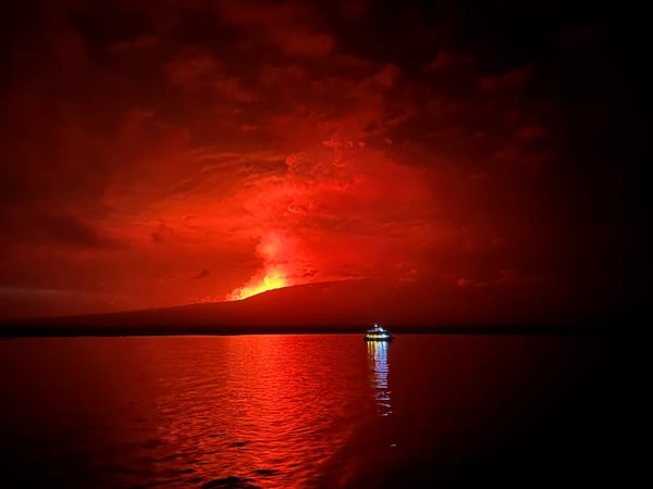 Erupción volcán La Cumbre, Isla Fernandina