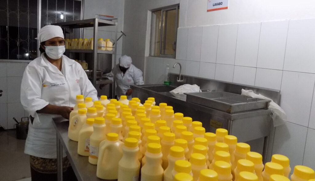 Las emprendedoras en Chimborazo producen yogur con mashwa