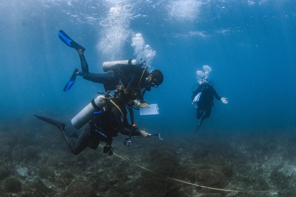 Los investigadores de Conmar recorrieron la parcela de coral de isla Salango para evaluar su afectación. Cortesía Conmarjpg