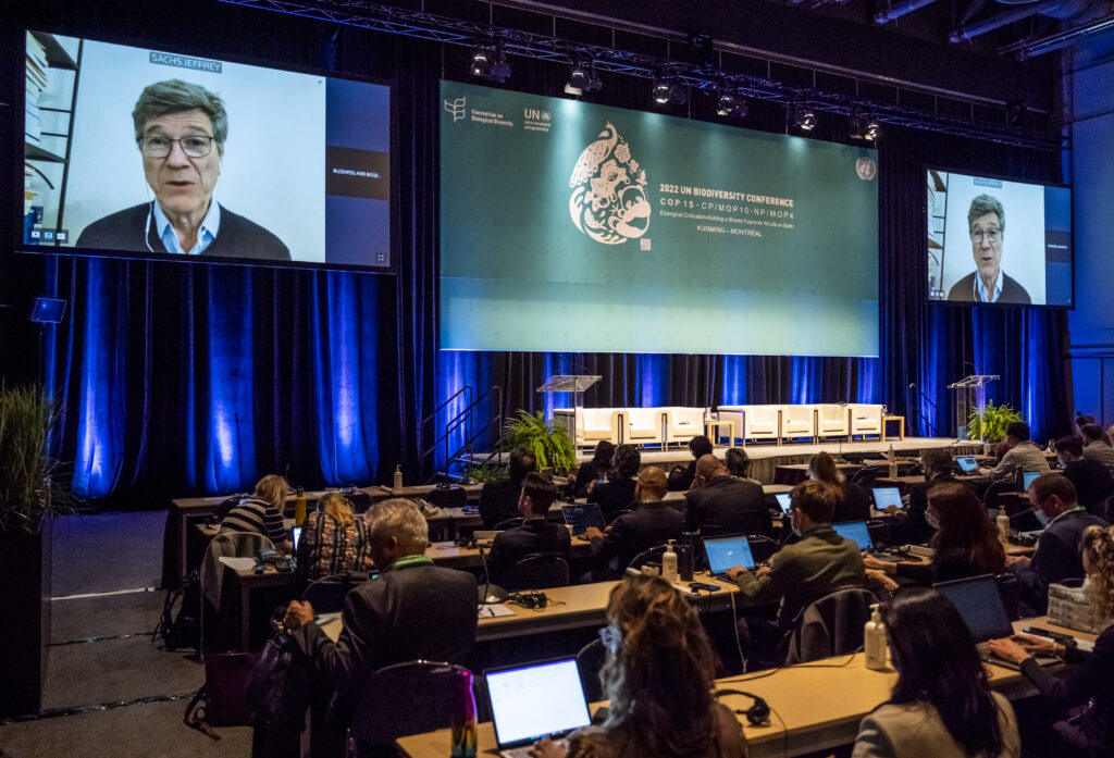 Sesiones de trabajo en COP15, en Montreal
