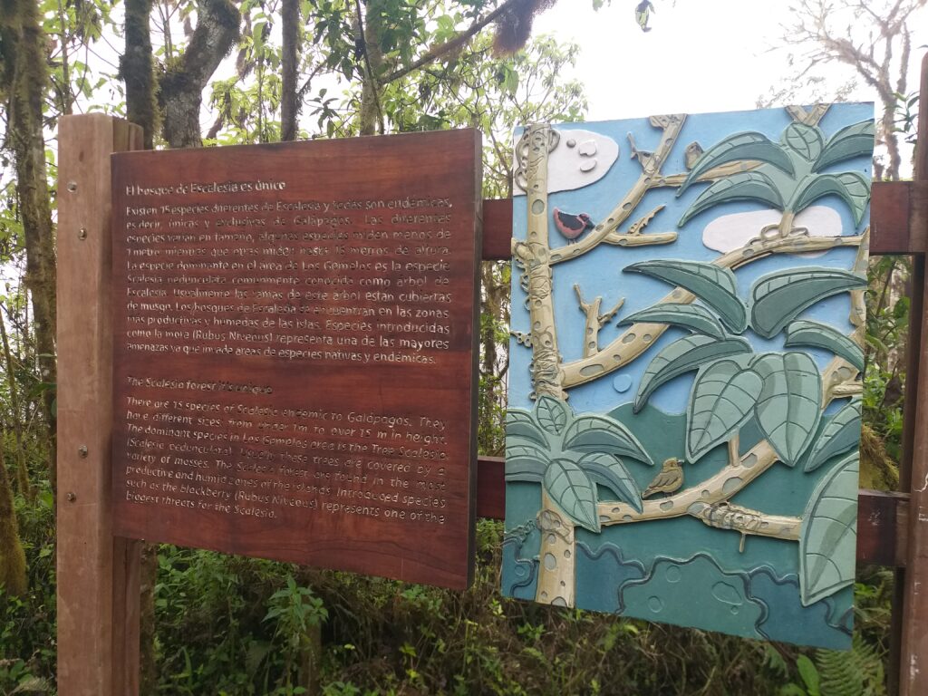 Letrero en el bosque de scalesias Foto Cristina Márquez