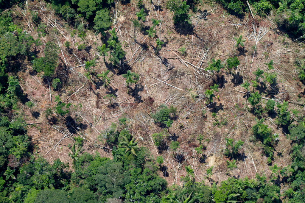 La deforestación para transformar los bosques en cultivo es una de las principales amenazas para la Amazonía.