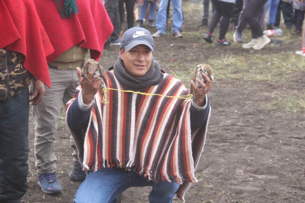 Un morador muestra a dos cuvivíes muertos en Ozogoche. Cortesía Municipio de Alausí