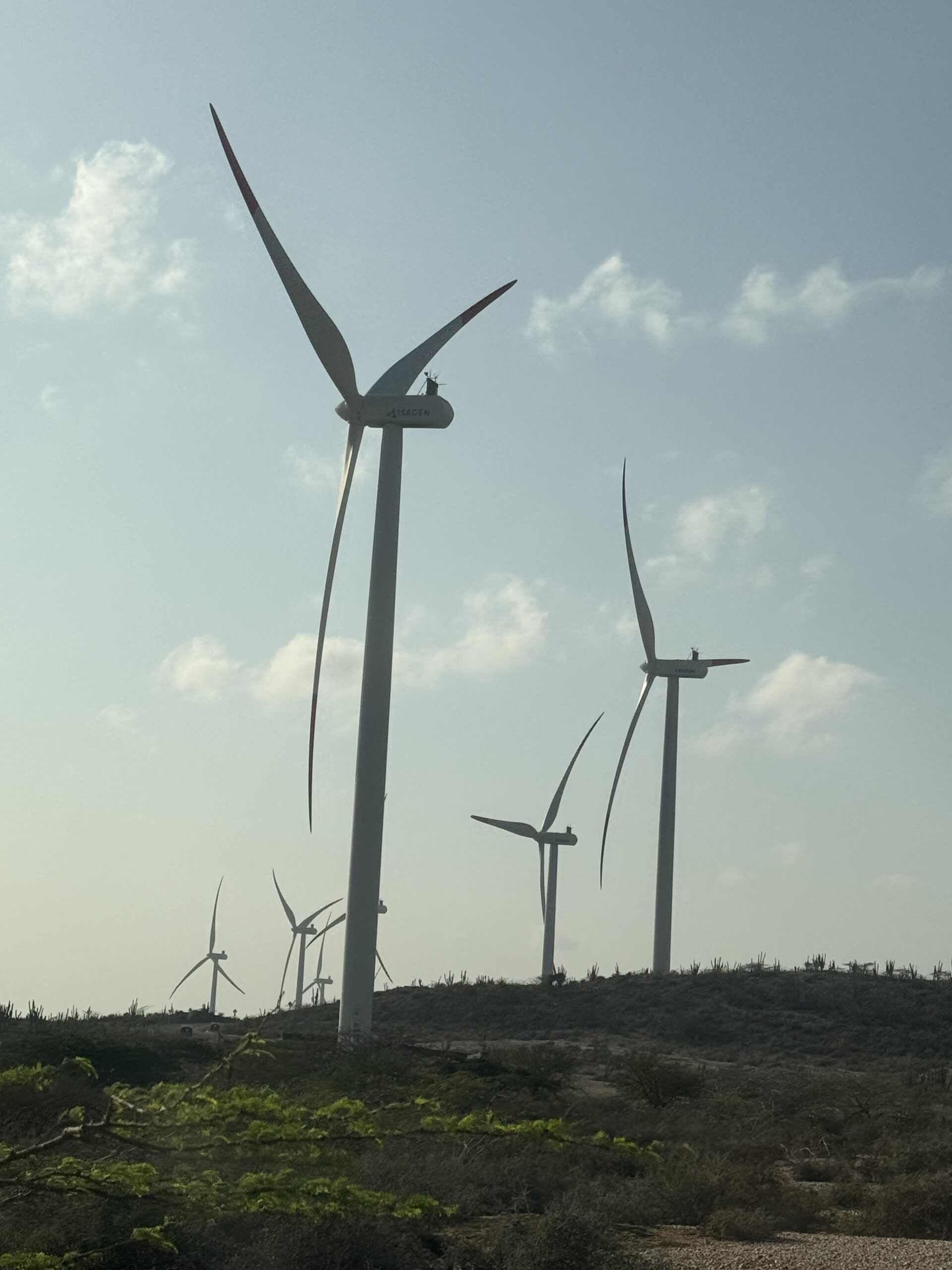 Foto ilustrativa energía eólica