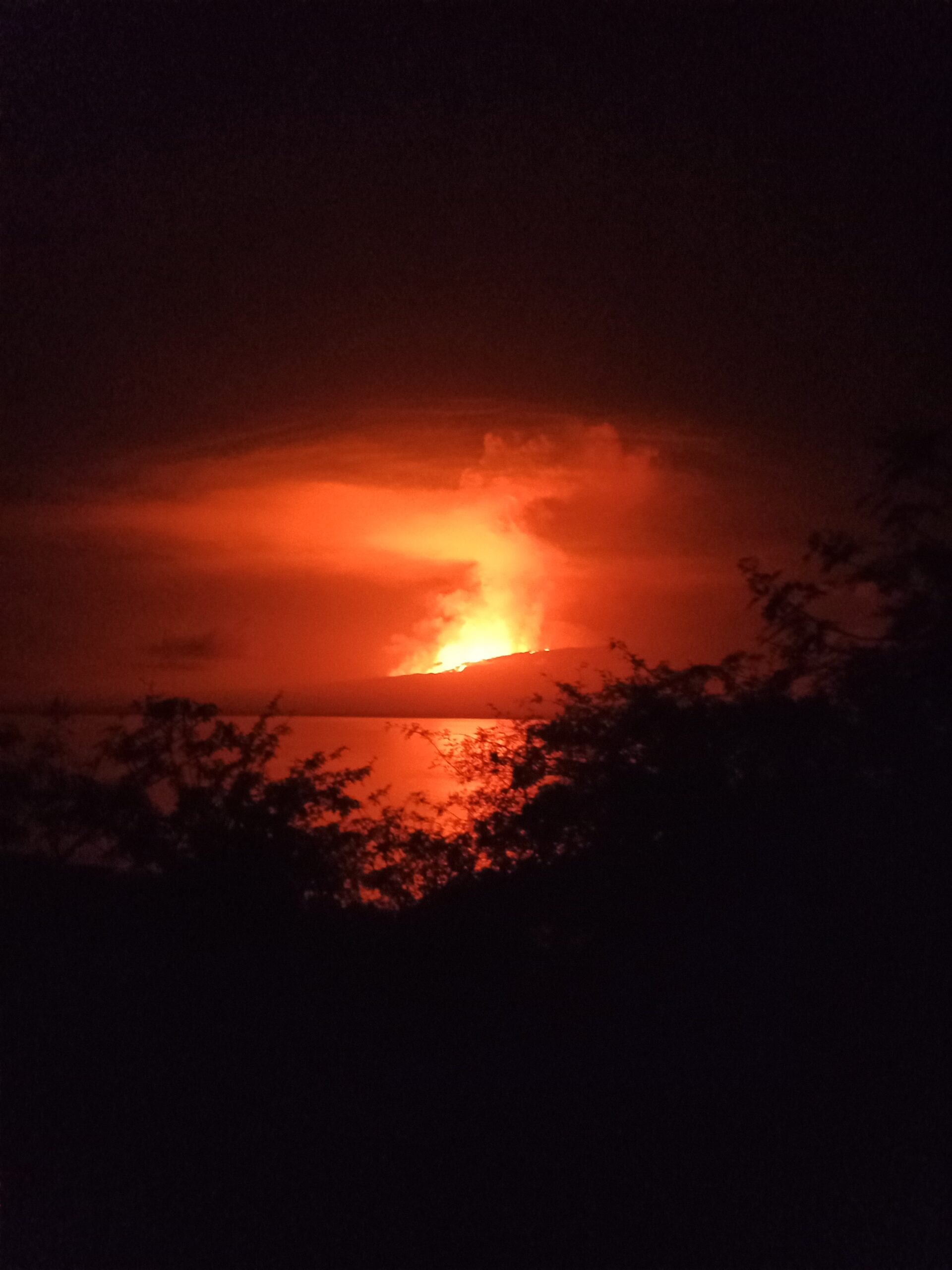 Erupción volcán La Cumbre, Isla Fernandina