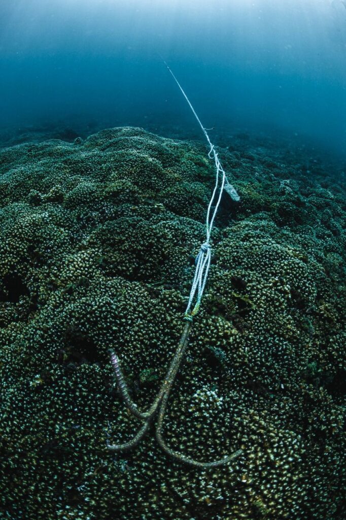 Las anclas de las embarcaciones turísticas son una de las principales amenazas para el coral de isla Salango. Cortesía Conmarjpg