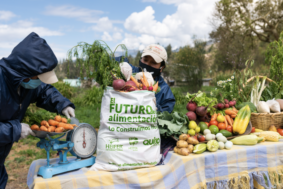 El Futuro de la Alimentación es el programa emblemático de Heifer Ecuador